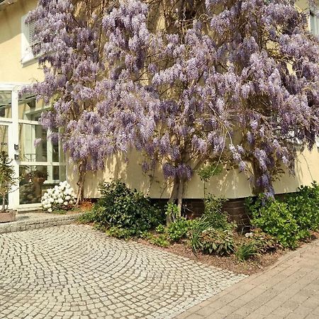 Pension Franzbaecker Warburg Exterior photo